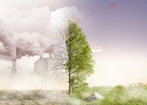 علل بحران آلودگی محیط زیست ایران چیست