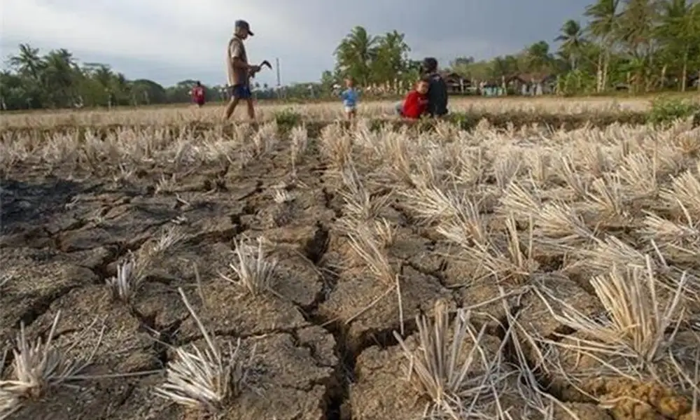 علل بحران مدیریت ناپایدار و نامتناسب کشاورزی در ایران